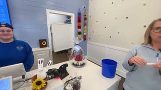 Find FLASH at Nothing Bundt Cakes - FB Live Dec. 19, 2024