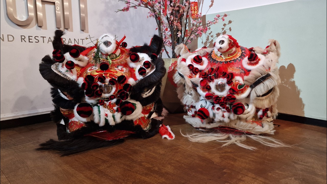 Lion Dance by Tang's Pak Mei | CNY 2026 | Yi-Ban Restaurant, London
