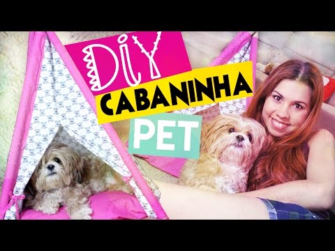 Vídeo: Para A Cabana Com Um Animal De Estimação