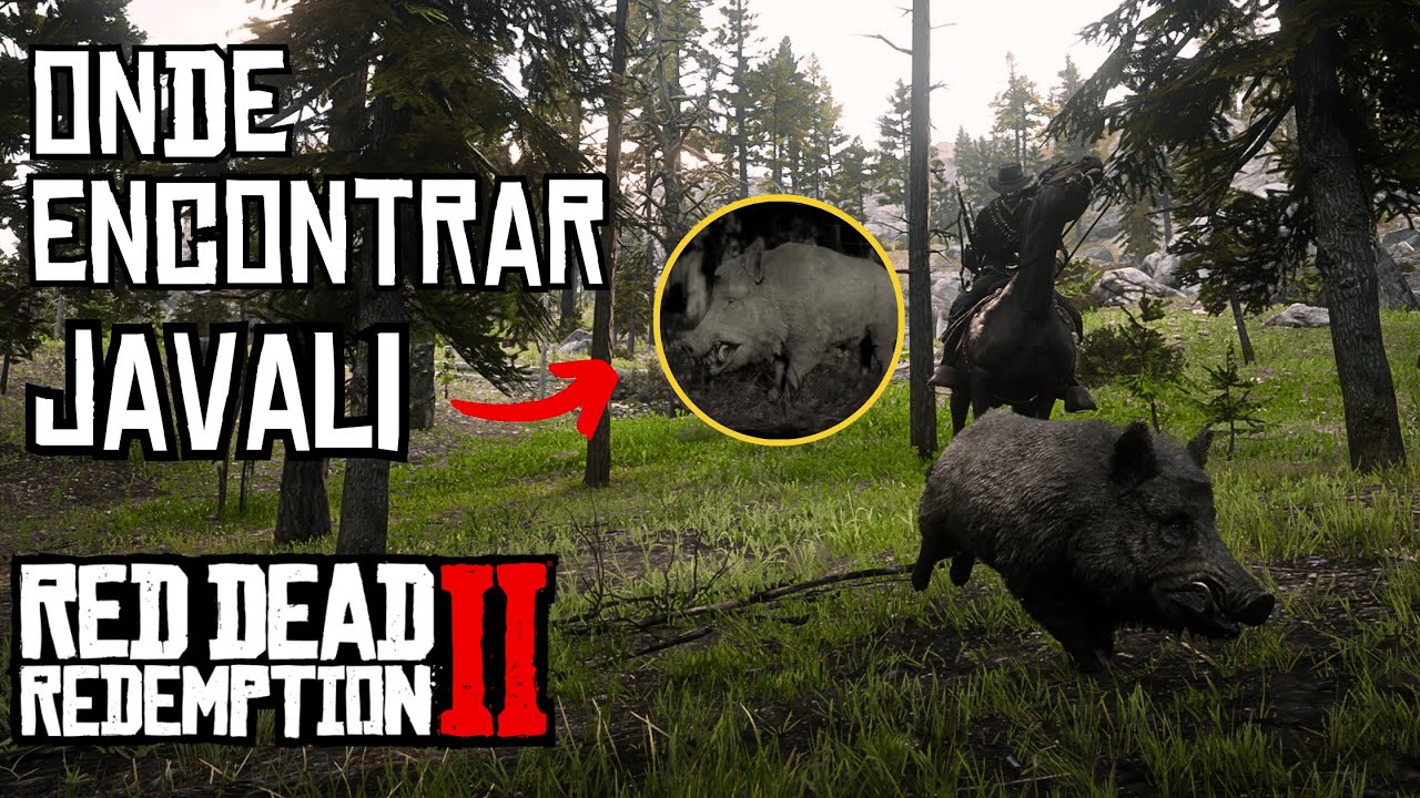 Red Dead Redemption 2: Onde Encontrar Javalis - Top 3 Locais de Caça ...