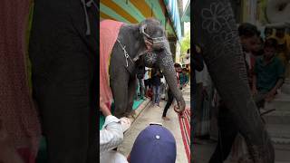 Ek Baar Yahan Jarur Jana 😃😍 Raman Reti Vrindavan #minivlog #vrindavan #dailyvlog #ramanreti