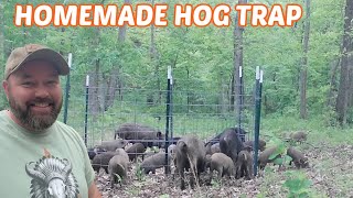 Record Hog Catch In My Homemade Trap!