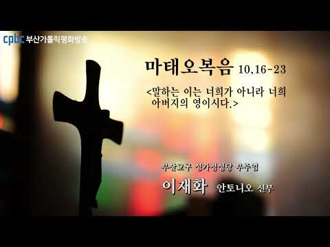 영상썸네일