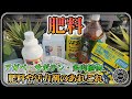 【肥料】アガベに使っている肥料や活力剤【園芸】【多肉植物】