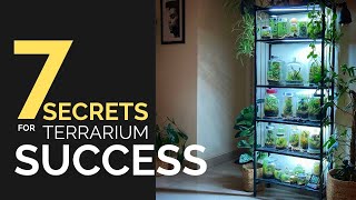 7 secrets for terrarium success