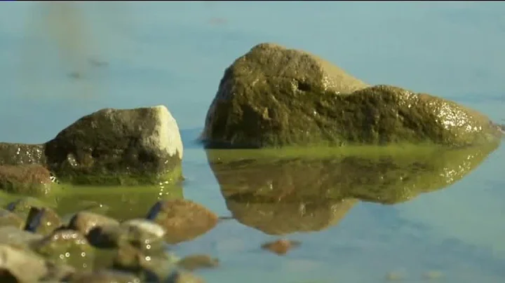 Risks of harmful algal blooms in Utah lakes