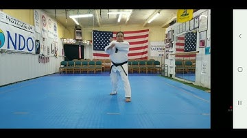 Basic Movements - 7 Dan Kukkiwon evaluation