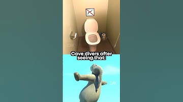 Cave divers be like 💀