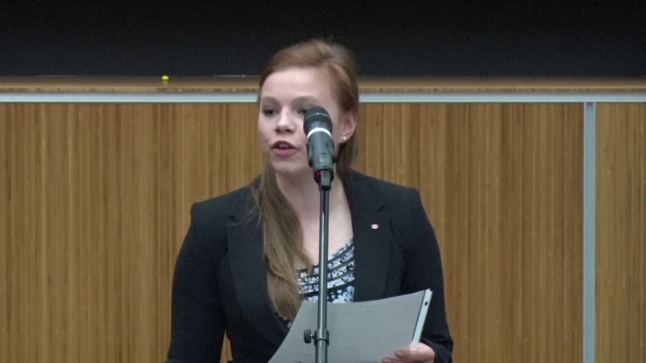 Potential for komatiite-hosted nickel-copper mineralization in the eastern part of the Shebandowan..