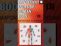 FUNDAMENTAL FACTS OF HUMAN BODY#NERVE #NUMBER OF BONE#ribs#tempreture #teeth#viral