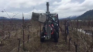 KLIMA cane-pruning machine at work!