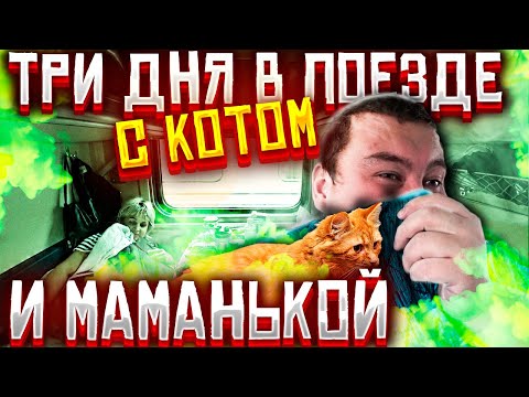 РЖД ЕДУ С КОТОМ И МАМОЙ ДО МОСКВЫ НА ПОЕЗДЕ! МАМА ДЕЛАЕТ ОБЗОР ПОЕЗДА И ВАГОНА РЕСТОРАНА!