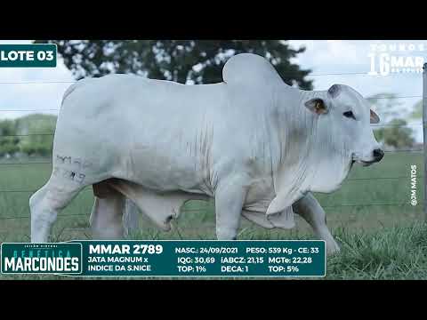 LOTE 03 MMAR 2789