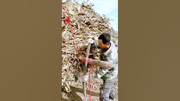 The process of packing corn stalks = a good approach to increase efficiency
