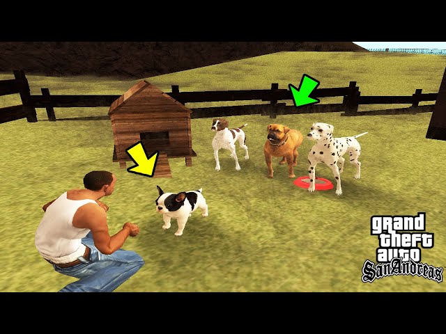 How to Find Dogs in GTA San Andreas!(Secret Mods) - YouTube