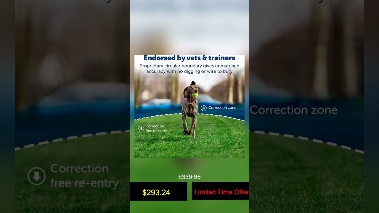 PetSafe Stay & Play Wireless Fence for Stubborn Dogs - America's Safest Wireless Pet Containmen