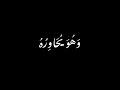 أحمد نعينع كرومة سوداء