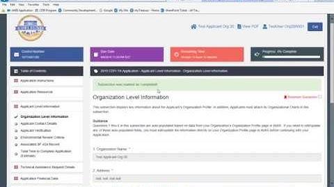 Navigating the FY 2019 CDFI and NACA Program TA AMIS Application Template