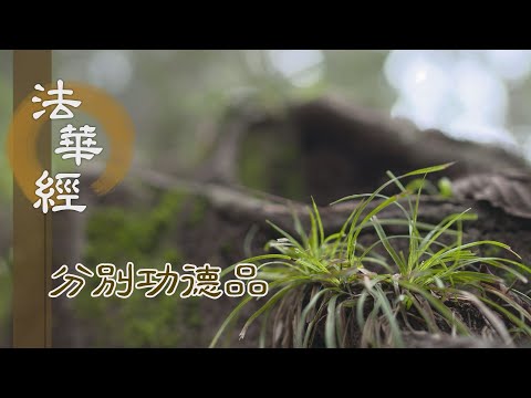 【靜思妙蓮華】法華經分別功德品 - 得無漏果 廣博利益 - 20240220 第1615集