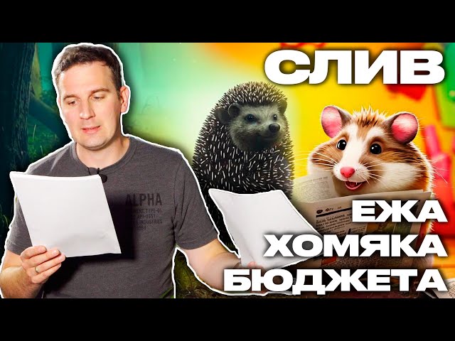 ХОМЯК В ТУМАНЕ И ПРО БЮДЖЕТ