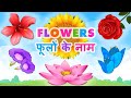 Flowers name। 20 Flowers name for kids । Learn different flowers name in English and Hindi ।