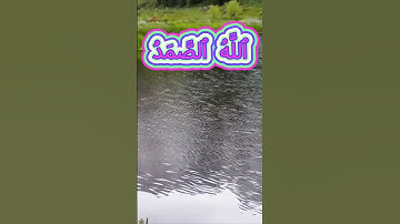 سورة الإخلاص كاملة برواية ورش عن نافع بصوت القارئ الشيخ معاذ الدويك