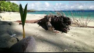 Segeln in Fiji : Mit der "Thalassa" im Great Astrolabe Atoll !