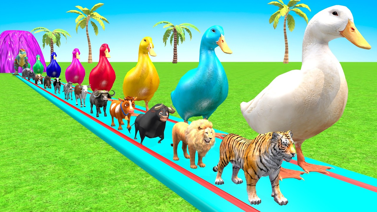 best Long slide game With Cow Elephant Gorilla Hippopotamus Tiger 3d Animal Game Funny 3d Animals