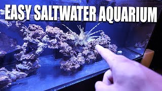 VERY EASY Saltwater aquarium setup | The King of DIY