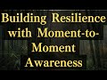 Building Resilience with Moment-to-Moment Awareness #yourmonkhaku #buddhism #spirituality