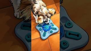 Gabby plays with a new doggie game #rescuedog #essonne