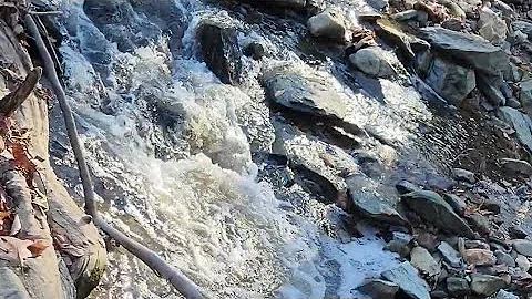 Scott's Run Virginia Gold Prospecting