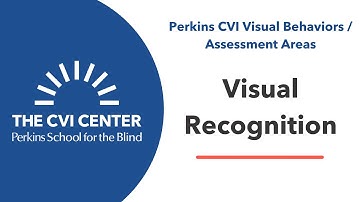 CVI Visual Behaviors: Visual Recognition
