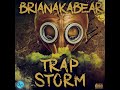 Brianakabear   trapstorm