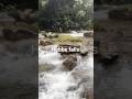ಹೆಬ್ಬೆ ಫಾಲ್ಸ್| Hebbe falls|#youtubeshorts #falls #trending #chikkamagaluru #nature #travlling #yt