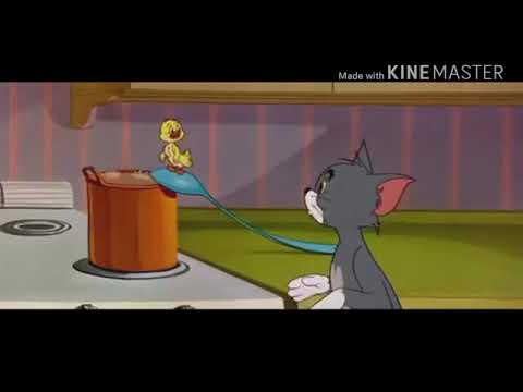 اريد اصعد على العالي وعاين