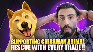 Kabosu Legacy Coin Donates All Of Their Creator Fees Directly To Chibawan Animal Shelter