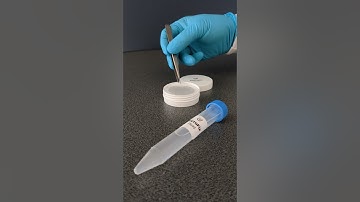 MicroFix Fixation of Particles on Membrane for SEM EDX Cleanliness Analysis