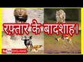 TOP 10 FASTEST ANIMALS IN WORLD | FASTEST RUNNER | दुनिया में सबसे तेज दौड़ने वाले दस जानवर।