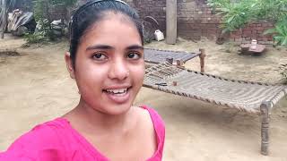 Aaj Humne Apne House Mein New Plants Lae