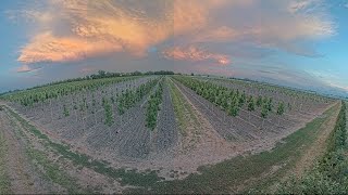 AXIS P3807-PVE Network Camera 24hr Timelapse
