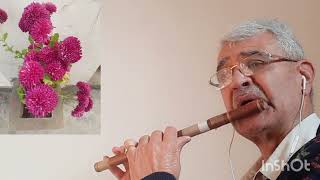 Aapki Aankhon Main Kuchh Flute Cover R C Sharma  Lata Mangeshkar Kishore Kumar R D Burman