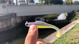 Creek and Canal Fishing for Snook with DOA and Zman Lures!