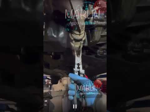 Piensas para abrazadera
