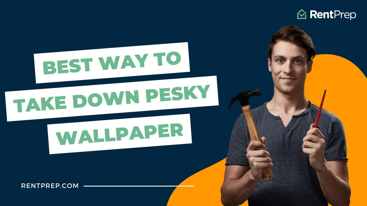 Best Way To Take Down Wallpaper YouTube