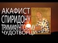 Молитва.Акафист и молитва свт. Спиридону Тримифунтскому Чудотворцу Православие #мирправославия