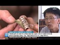 Ubc울산방송 160821 진상품 병영 은장도 명맥 끊기나 Ubc울산방송 160821 진상품 병영 은장도 명맥 끊기나