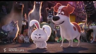 The Secret Life of Pets - Gidget Saves Max Scene (7/10) - Movieclips