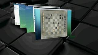 Flip 3D Bug