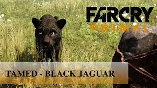 Far Cry Primal: TAMED - RARE BLACK JAGUAR